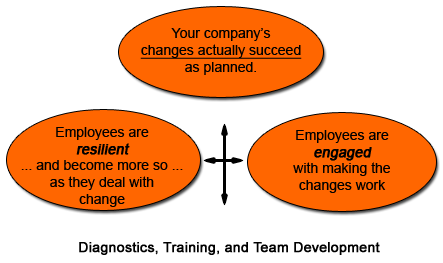 Diagnostics, Training & Team Development